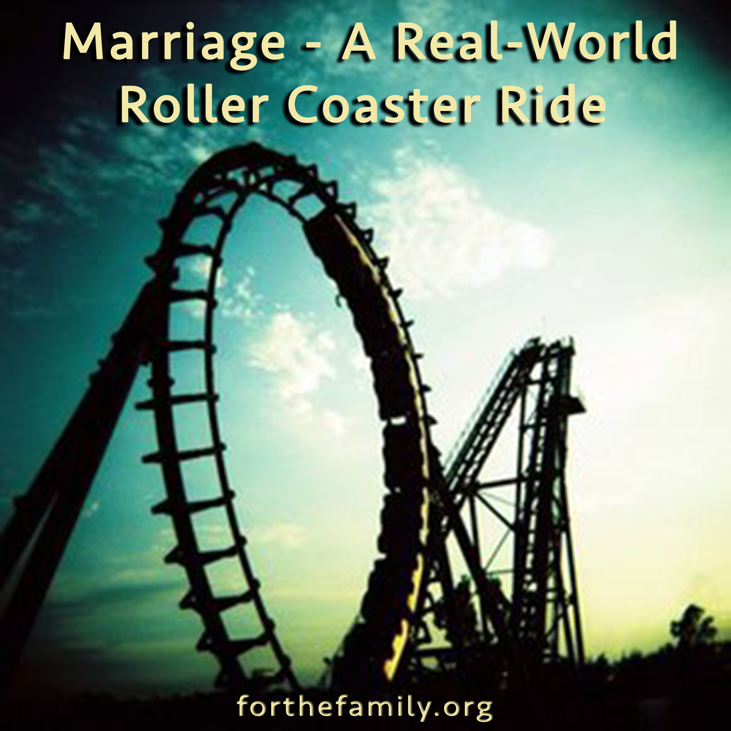 Marriage – A Real-World Roller Coaster Ride (Part I)