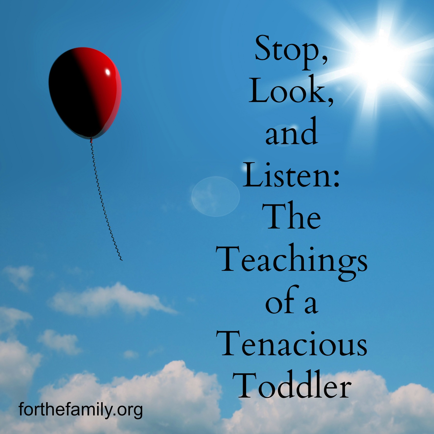Stop, Look and Listen: The Teachings of a Tenacious Toddler