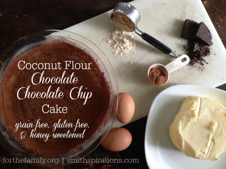 Coconut Flour Chocolate Chocolate Chip Cake