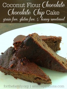 Coconut Flour Chocolate Chocolate Chip Cake, grain-free, gluten-free, and honey-sweetened; it's delicious! From forthefamily.org and shared by smithspirations.com