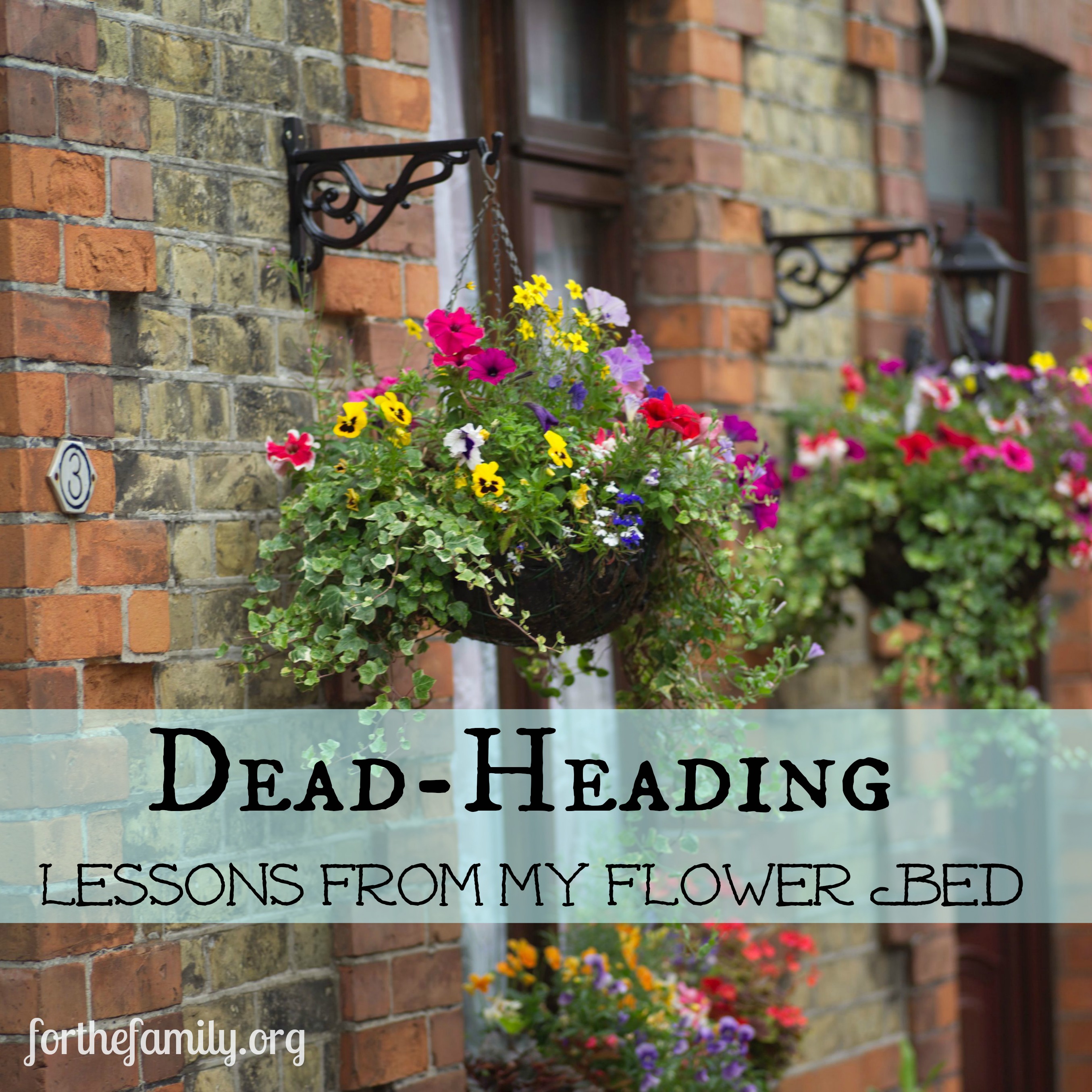 Dead-Heading {Lessons From My Flower Bed}