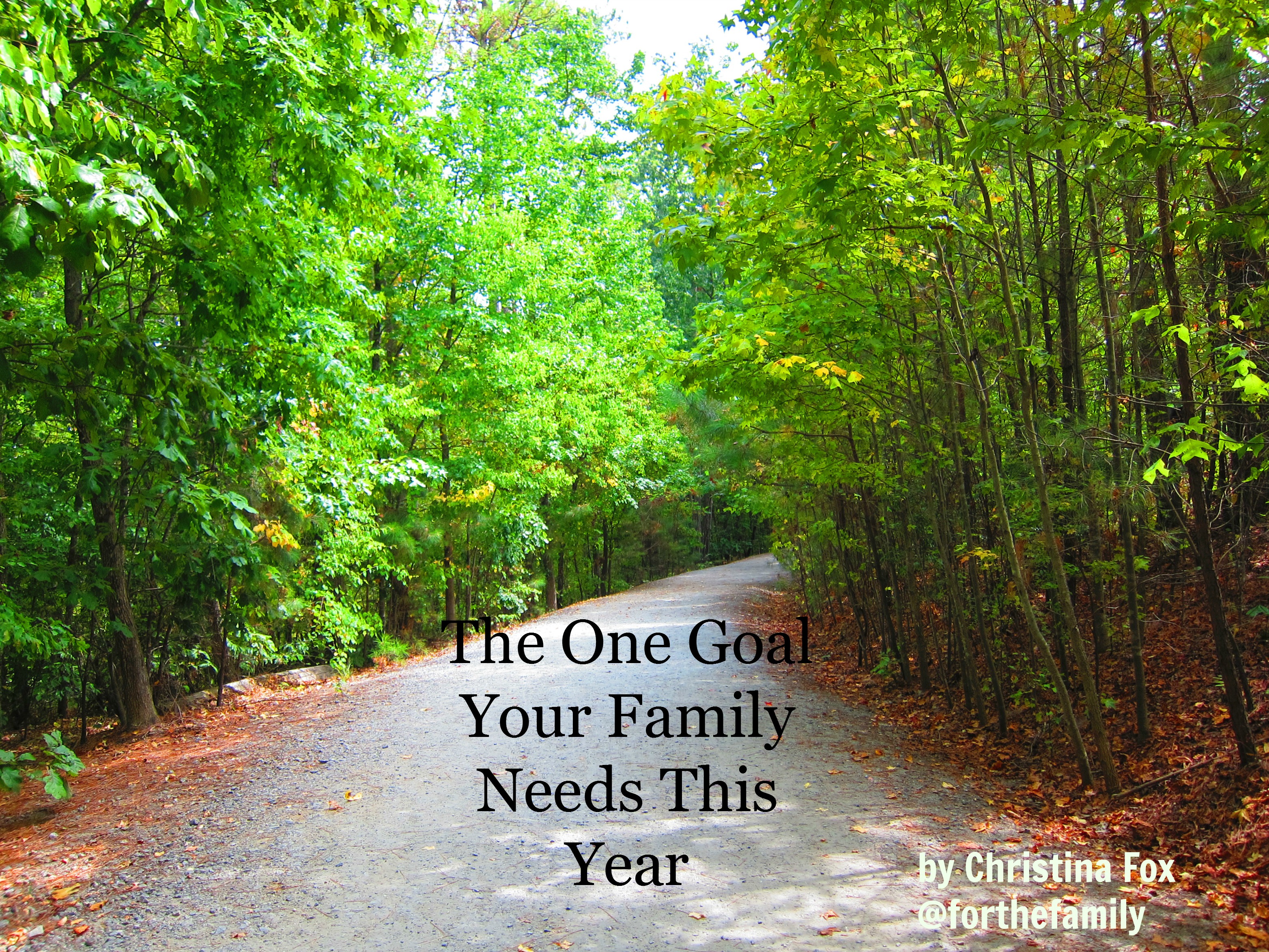 The One Goal Your Family Needs This Year