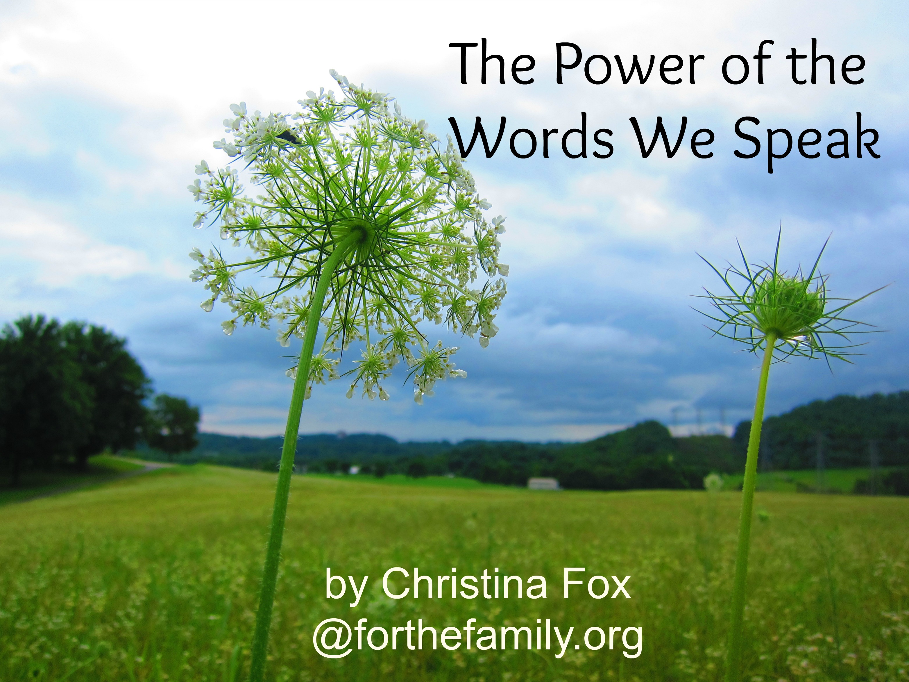 The Power of the Words We Speak