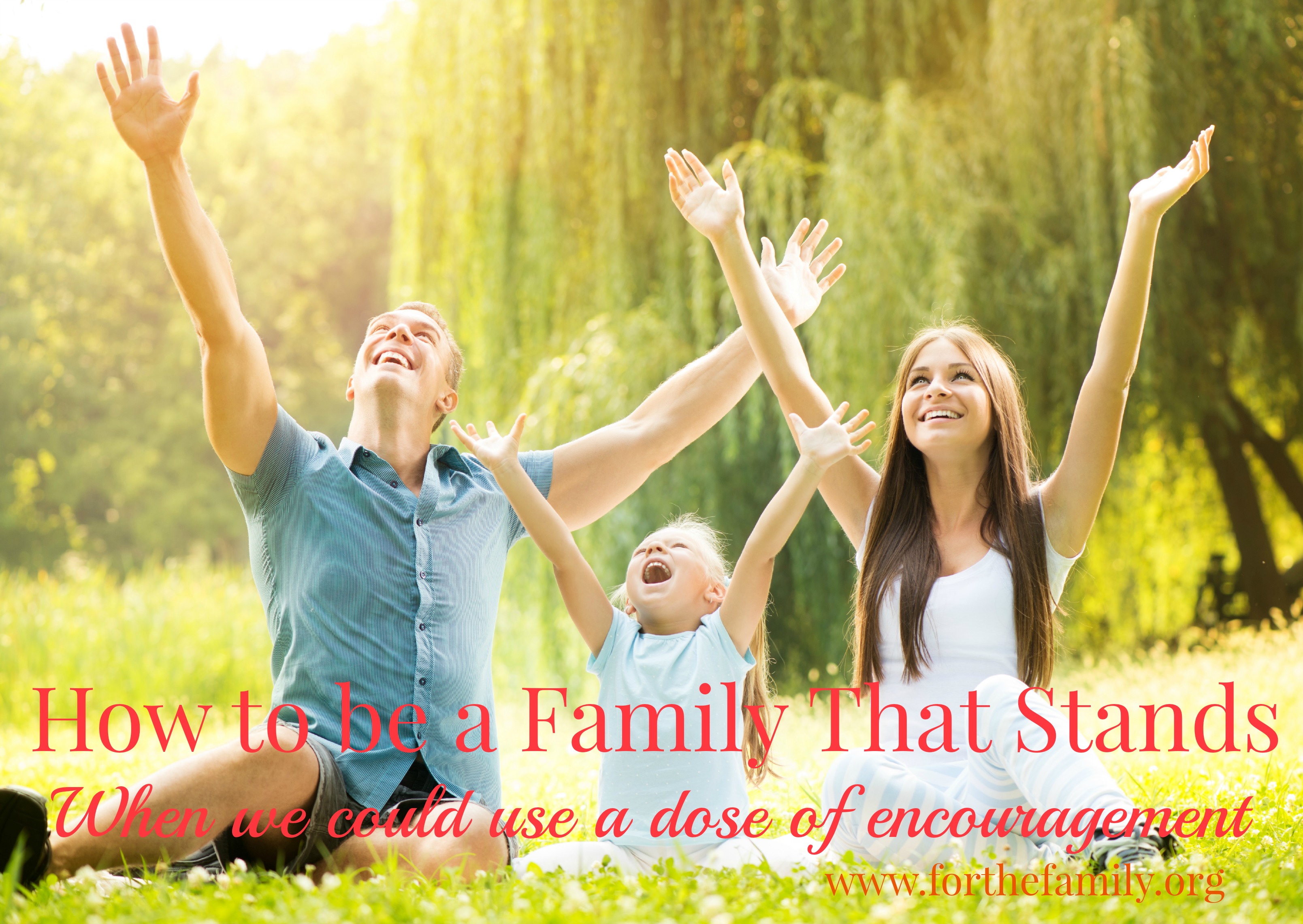 How To Be a Family That Stands  (When We Could Use A Good Dose Of Encouragement)