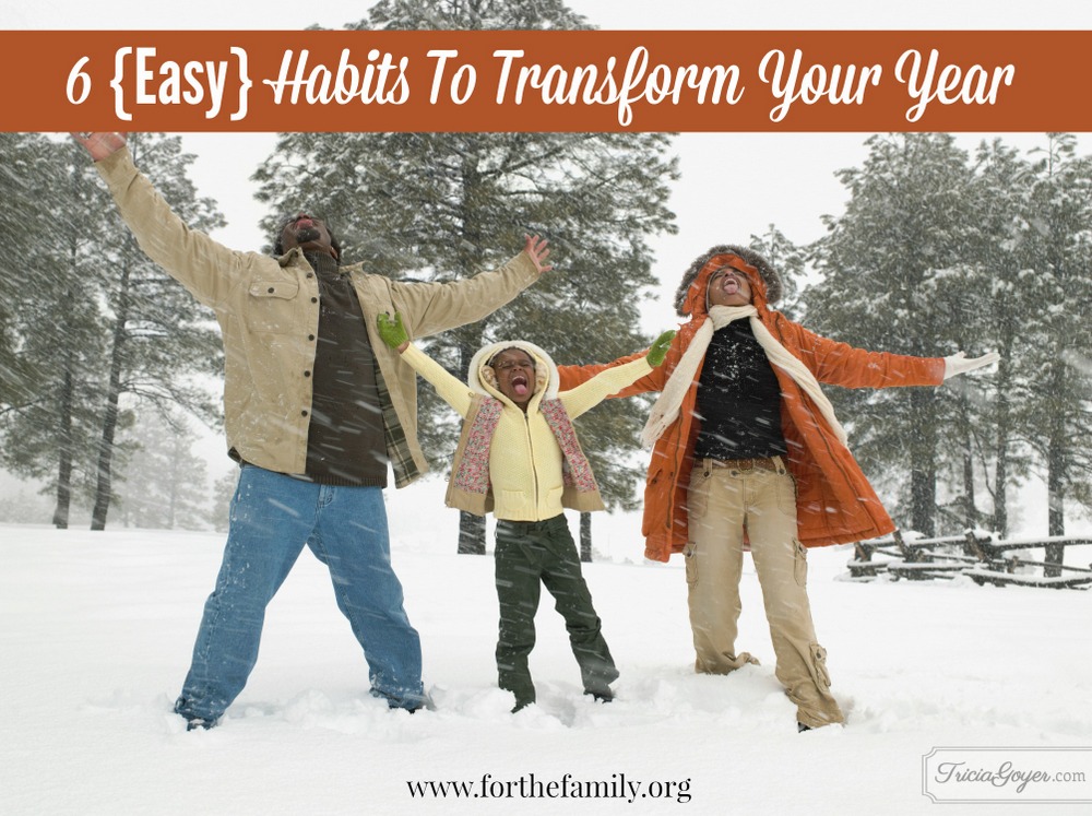 6 {Easy} Habits To Transform Your Year