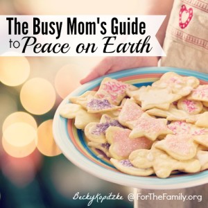 Busy Mom's Guide to Peace on Earth