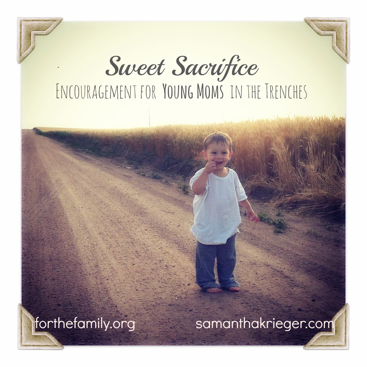 Sweet Sacrifice: Encouragement for Young Moms in the Trenches