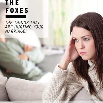 Catch the Foxes {the things that are hurting your marriage}