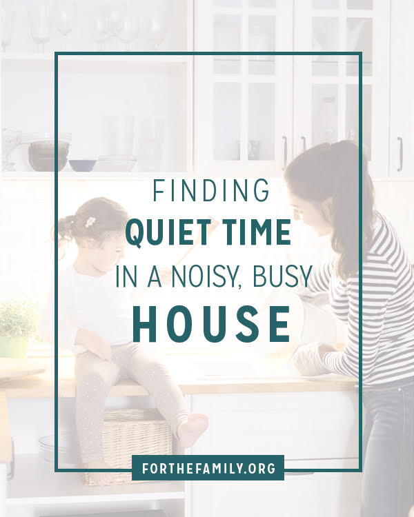 Finding Quiet Times in a Noisy, Busy House