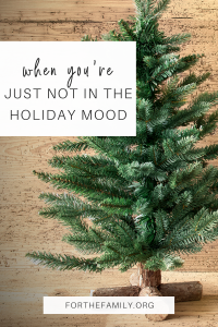 How can we survive the holidays when we are hurting? Whether it is job loss, illness, divorce or another circumstance there is hope in the midst of your hard stuff. Here's where to find it today!
