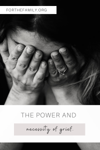 "The Power and Necessity of Grief" For the Family