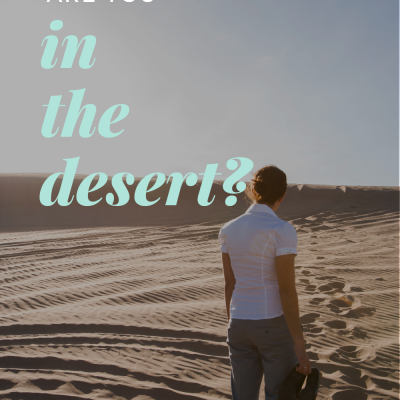 Are You in the Desert?