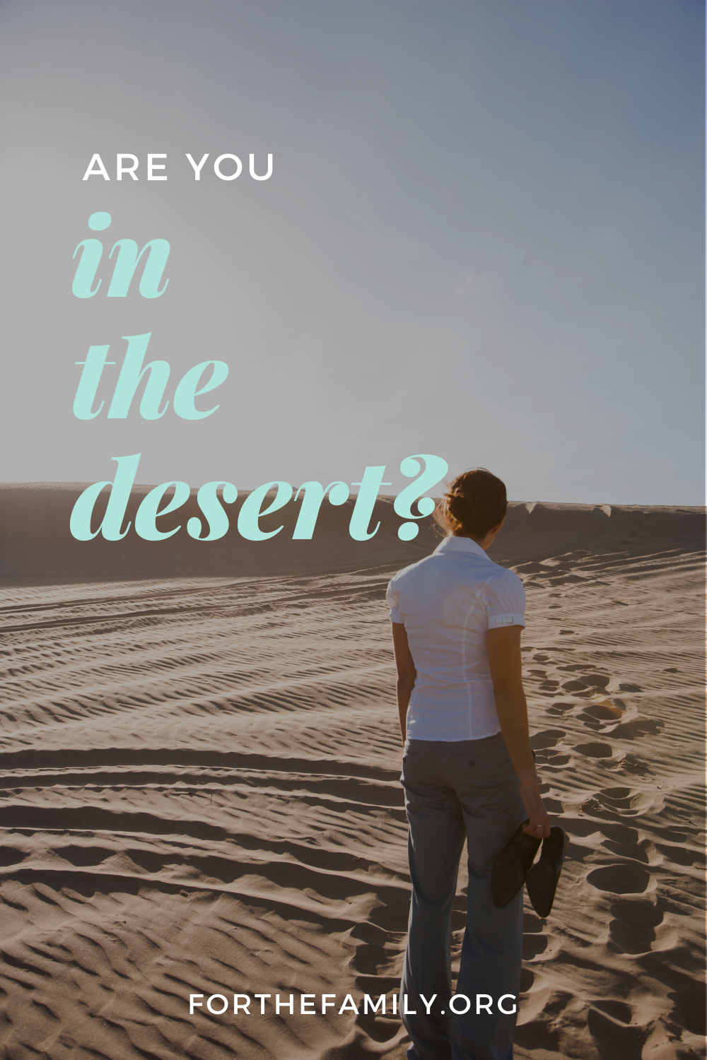 Are You in the Desert?